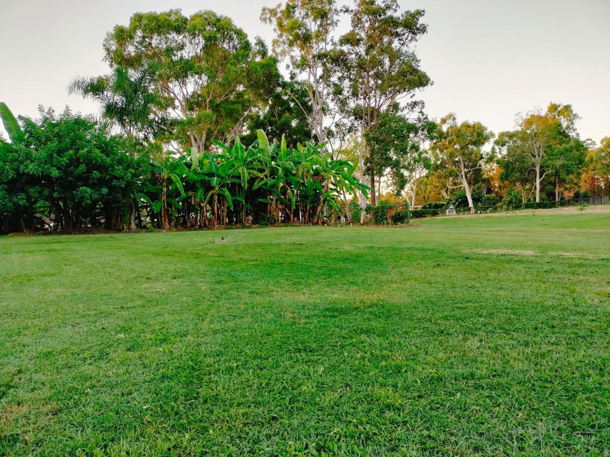 The Woodlands Hideaway - Premium Acreage Guesthouse Browns Plains Bagian luar foto